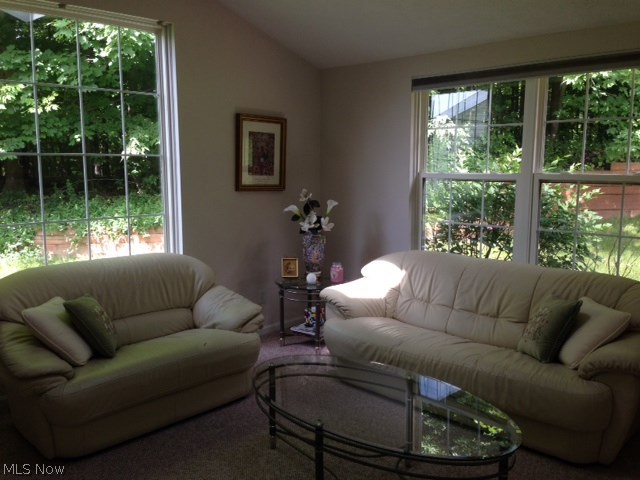 Stonebrooke Condo - Residential