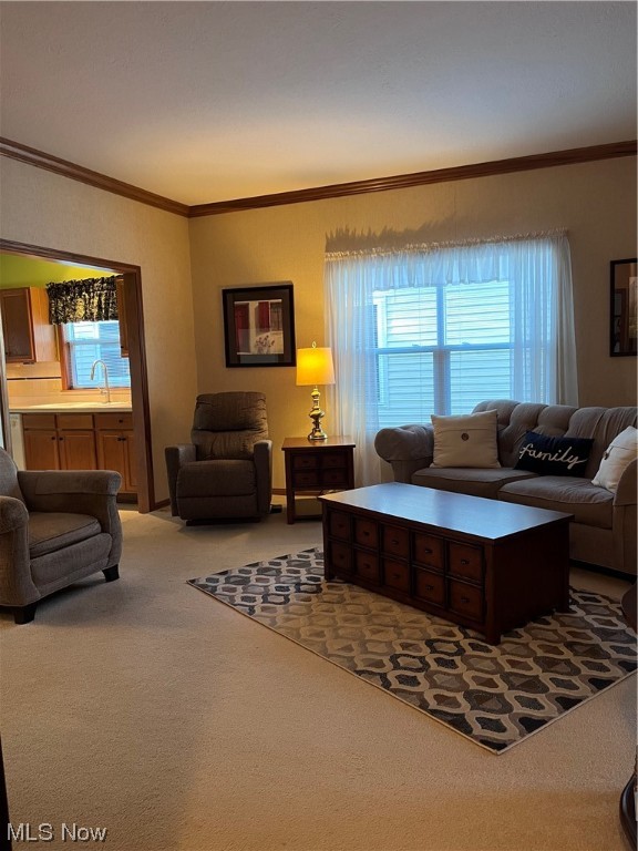 Village Condos - Residential