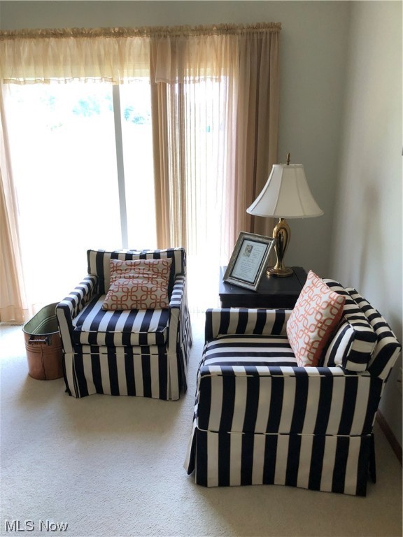 Village Condos - Residential