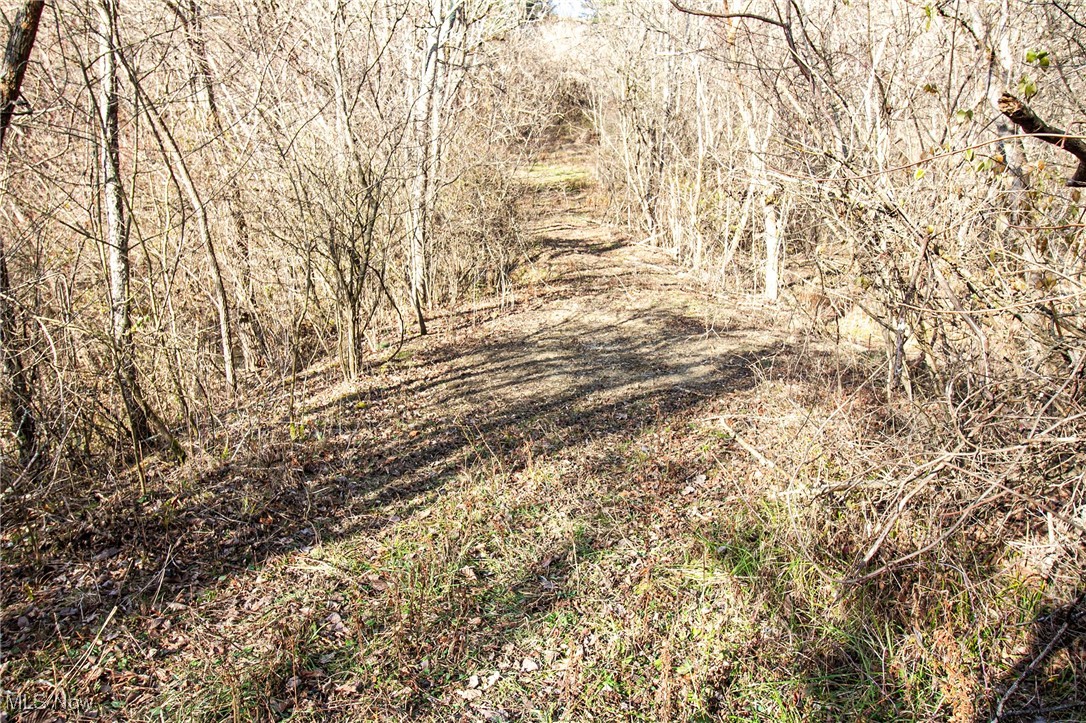 Tract 4 State Route 513, Quaker City, Ohio image 11