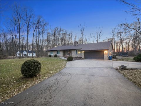 4234 Lyntz Townline Road SW, Warren, OH 44481 - MLS#: 5105714