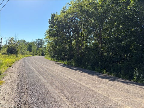Vacant Land For Sale - South Ridge Road<br/> Conneaut, OH 44030