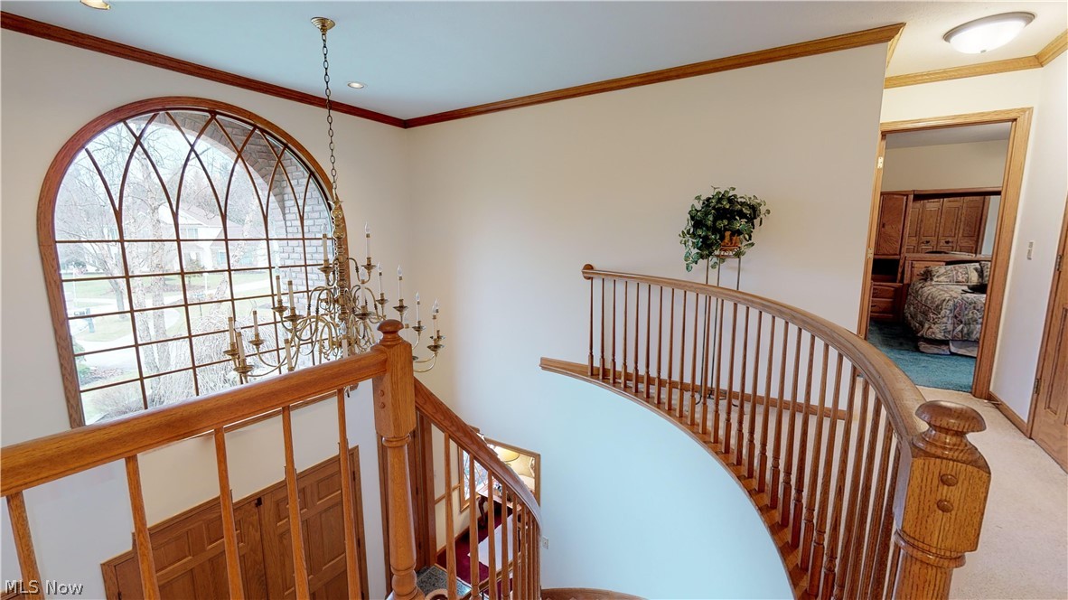 Emerald Woods 01 - Residential