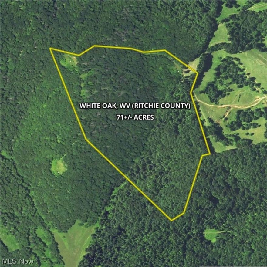 Enjoy this stunning 71 +/- Acre property nestled in White Oak, Union District, Ritchie County, West Virginia. This desirable and unimproved parcel features an abundance of mature timber hosting remarkable habitats for the many species of wildlife including whitetail deer, turkey, and various species of small game. With ample acreage and diverse terrain, this property is perfect for a hunting camp, nature and or outdoor enthusiasts alike.