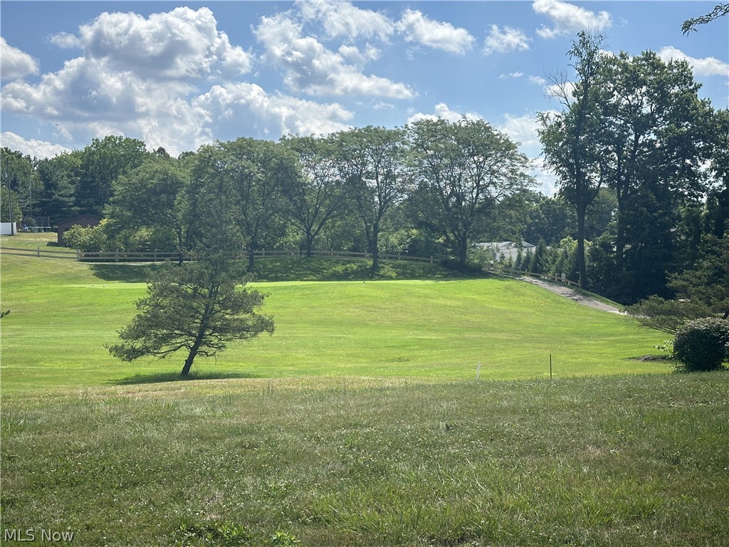 Telford Street, Canton, Ohio image 2