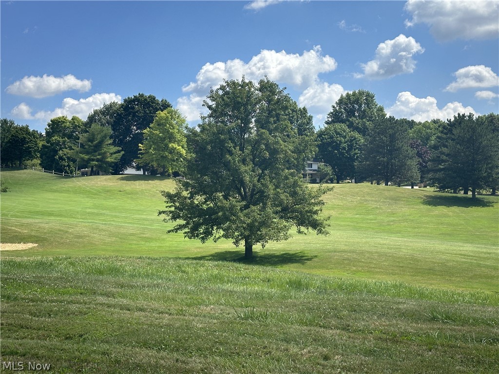 Telford Street, Canton, Ohio image 4