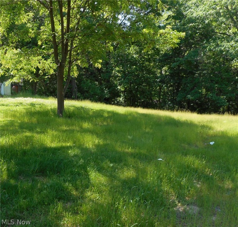 Field Gardens 02 - Land