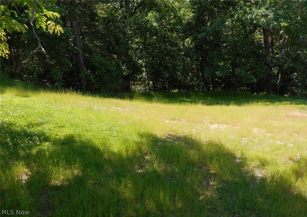 Field Gardens 02 - Land