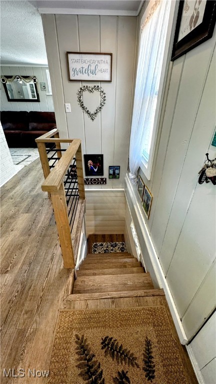 Willowdale Lake - Residential