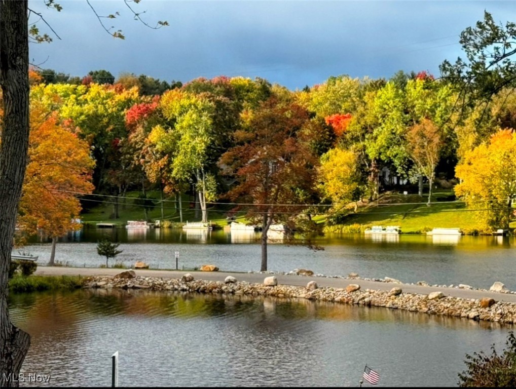 Willowdale Lake - Residential