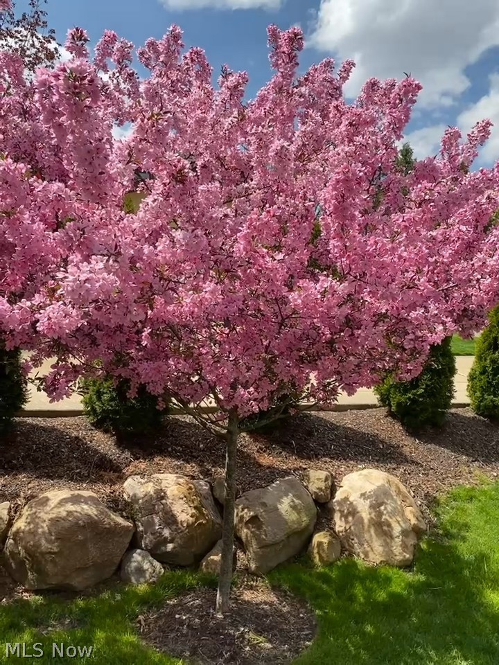 Bradford Pointe - Residential