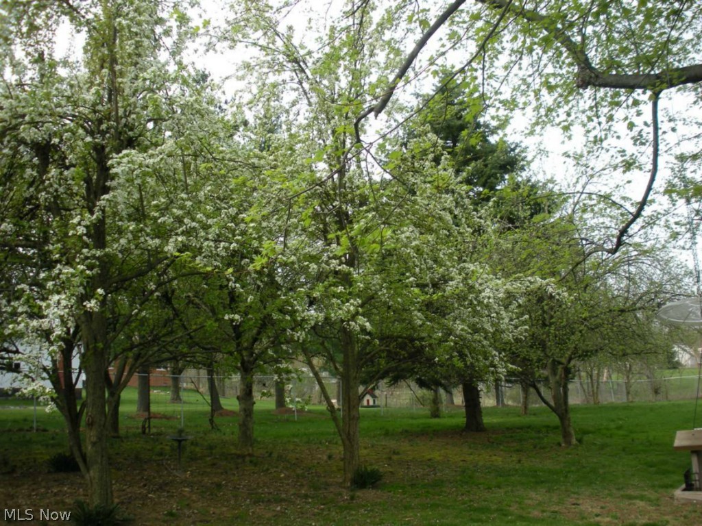 Clark Smith - Residential