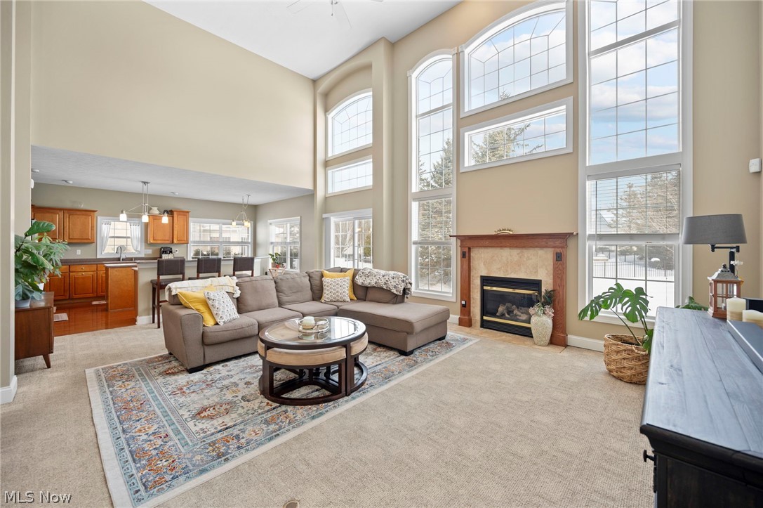 Bradford Oaks Ph III - Residential