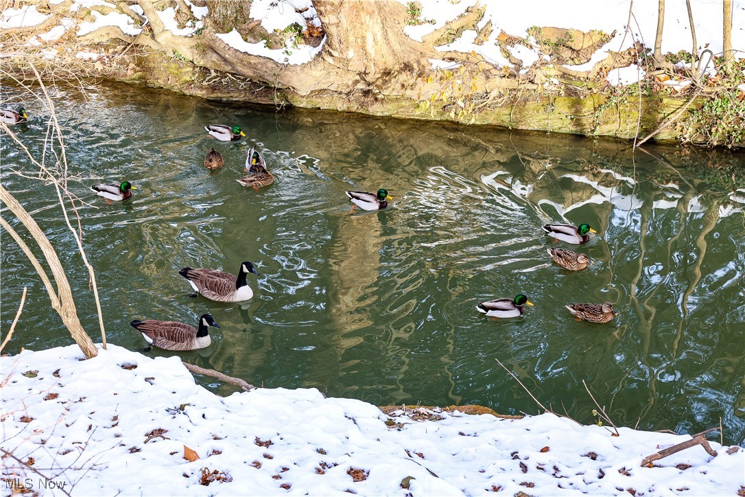 Tuxedo Land Companys Tuxedo L - Residential