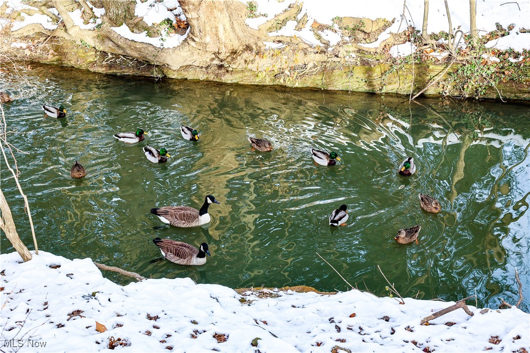 Tuxedo Land Companys Tuxedo L - Residential