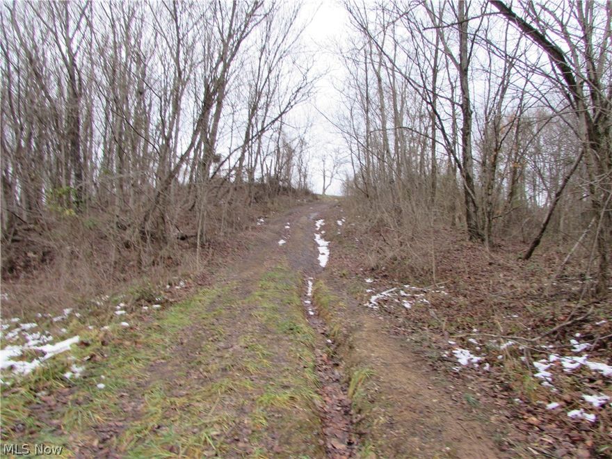 This kind of property doesn't come that often. Located in a great hunting area is 40 acres that offers old home site with hilltop view, road frontage, water well and owner conveying what mineral rights they own. If you view the map you will see there is several, several acres of public hunting that surrounds or joins it. Easy access off of County Road 9, look for sign