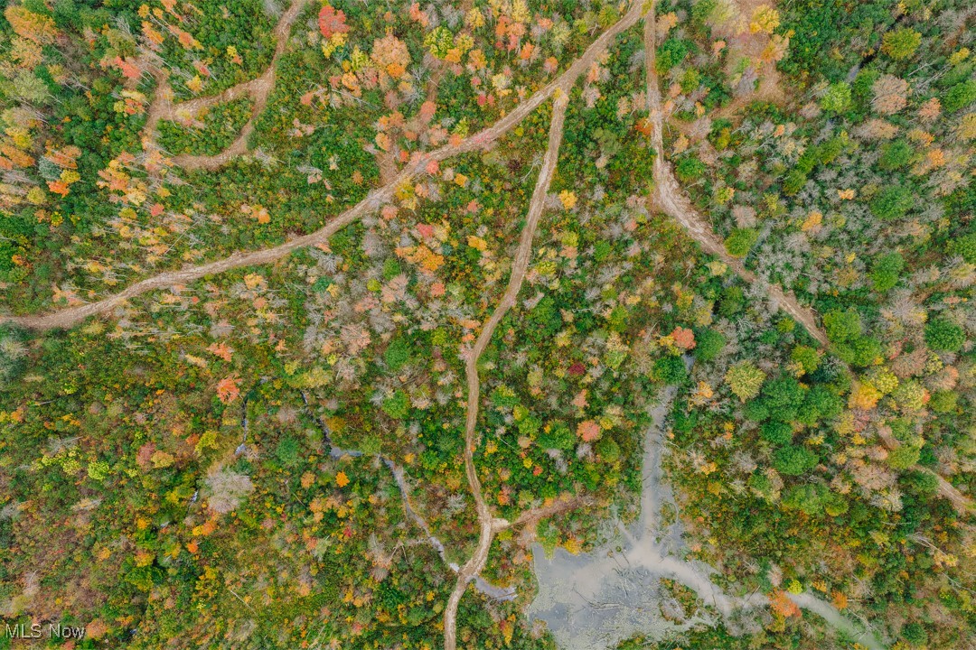 Township/Milton - Land