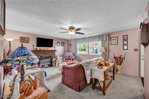 Tiny photo for 702 Oberlin Place, Austintown, OH 44515 (MLS # 5254708)
