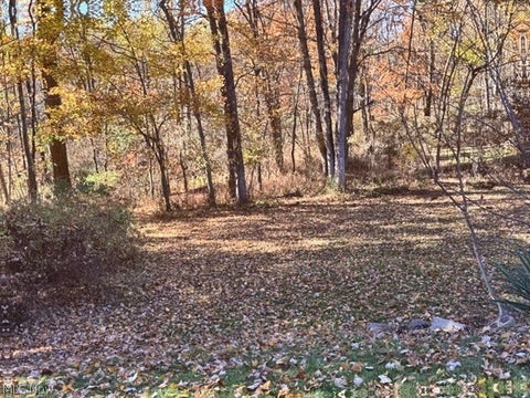 Tiny photo for 328 S Bon Air Avenue, Youngstown, OH 44509 (MLS # 5257579)