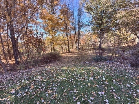 Tiny photo for 328 S Bon Air Avenue, Youngstown, OH 44509 (MLS # 5257579)