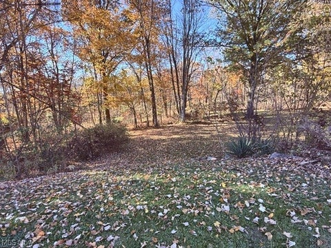 Tiny photo for 328 S Bon Air Avenue, Youngstown, OH 44509 (MLS # 5257579)