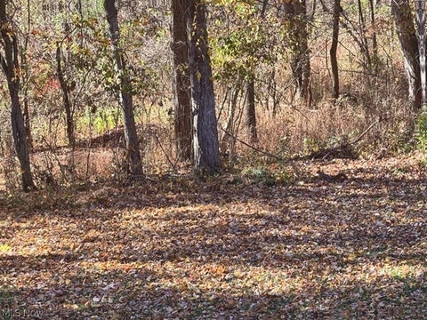 Tiny photo for 328 S Bon Air Avenue, Youngstown, OH 44509 (MLS # 5257579)