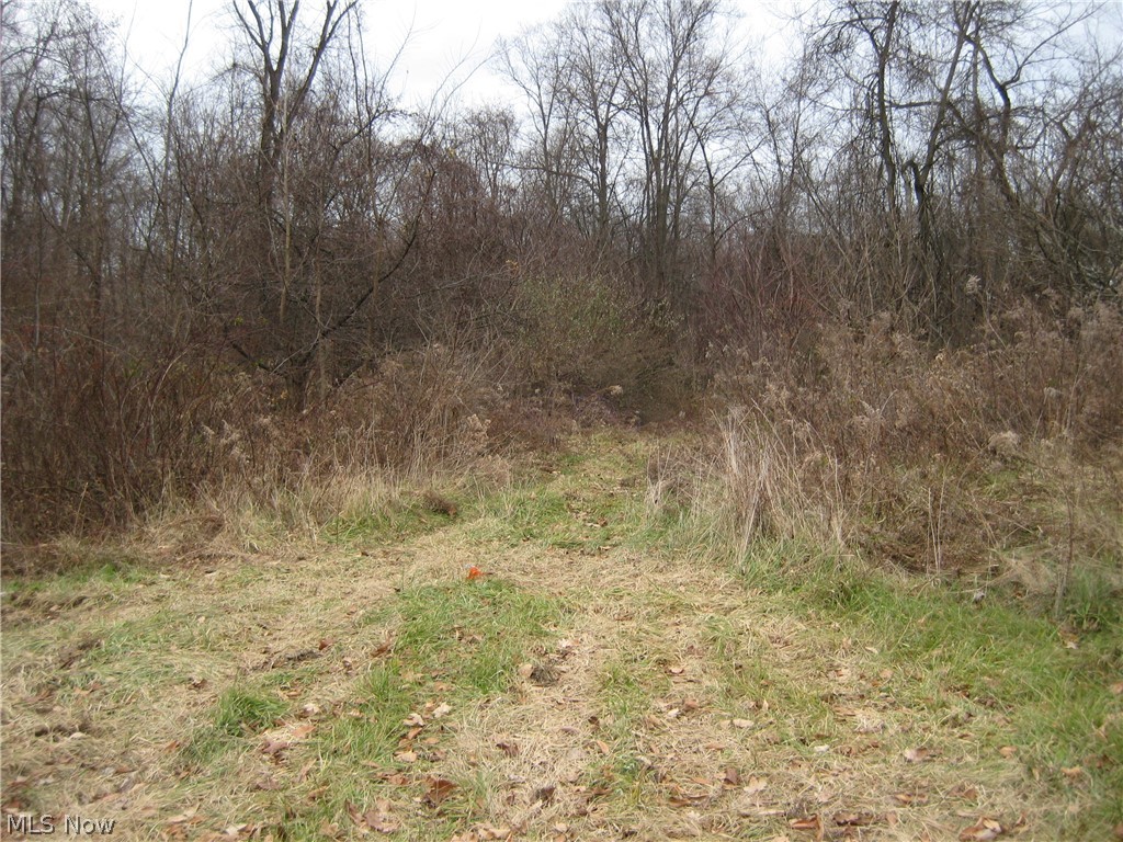 Forest Oaks 02 - Land