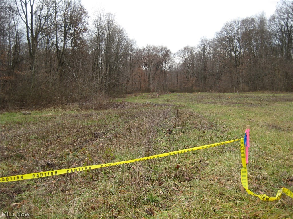 Forest Oaks 02 - Land