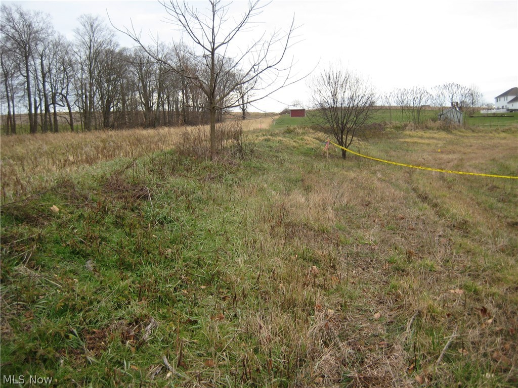 Forest Oaks 02 - Land