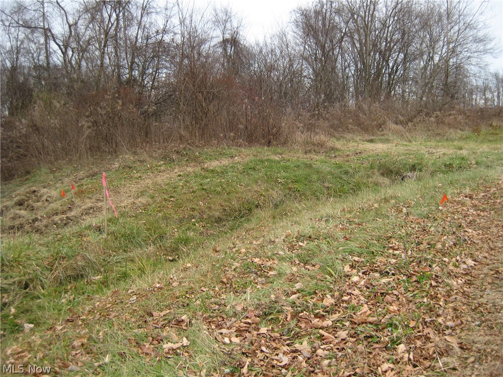 Forest Oaks 02 - Land