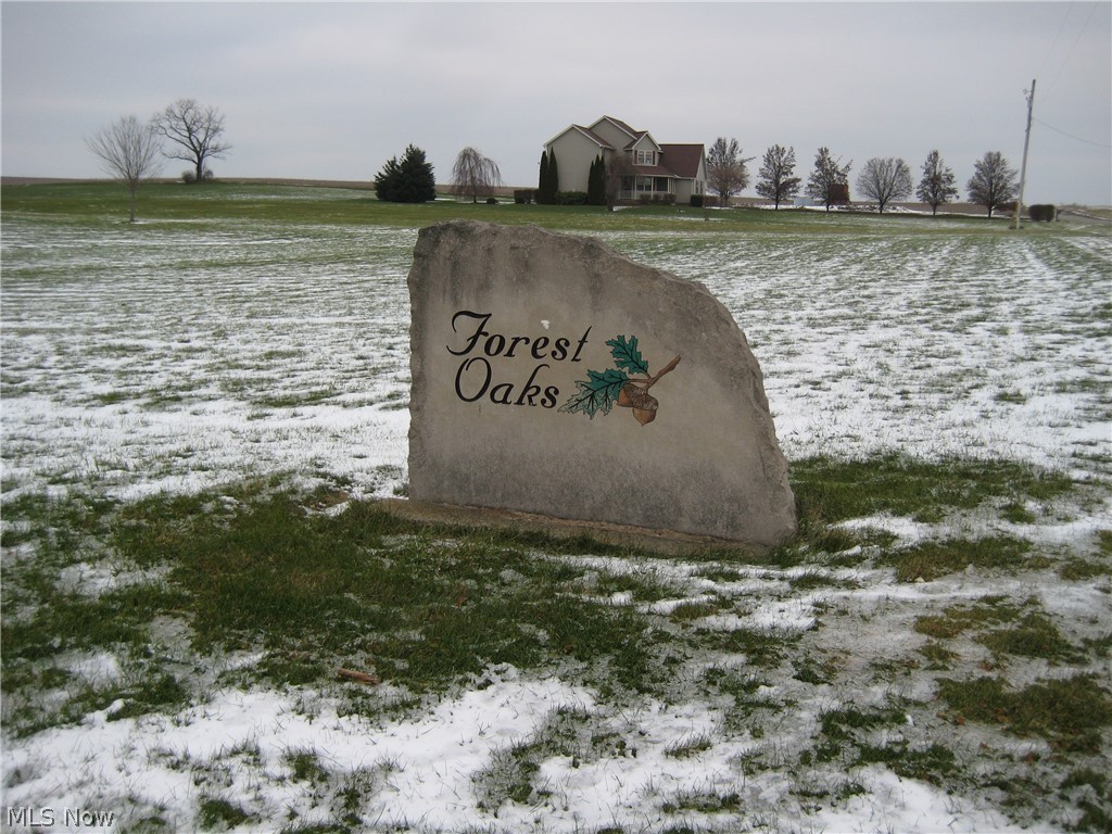 Forest Oaks 02 - Land