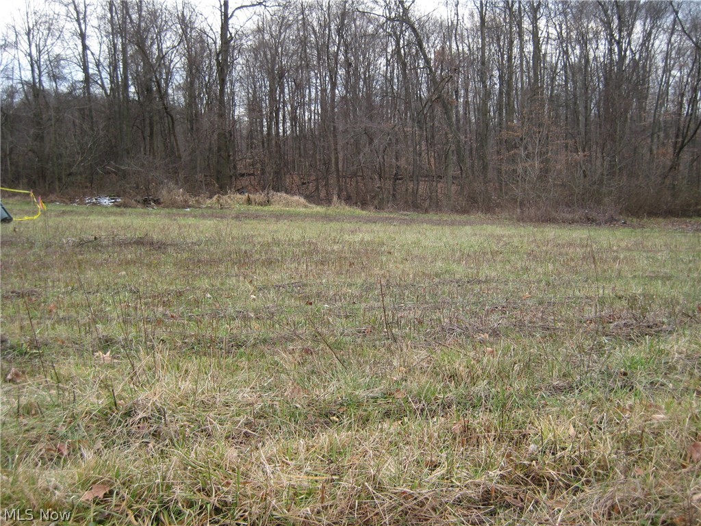 Forest Oaks 02 - Land