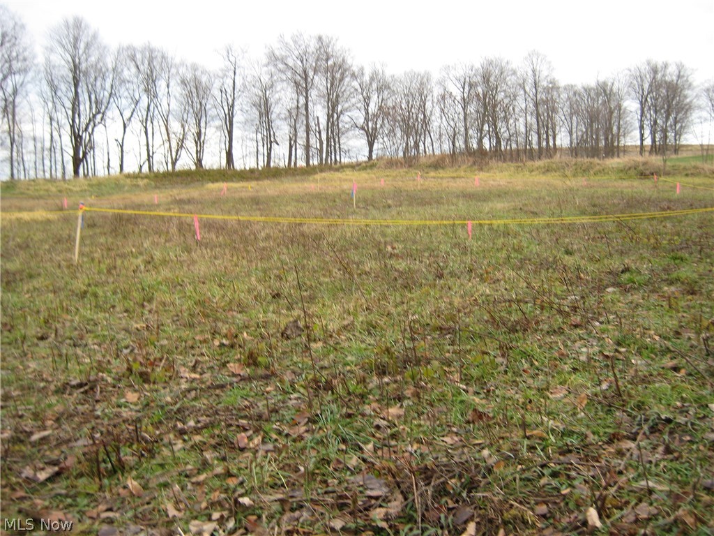 Forest Oaks 02 - Land