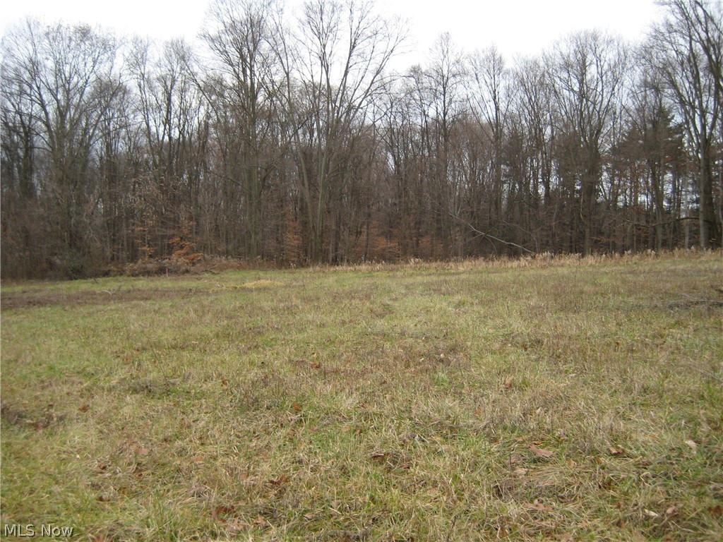 Forest Oaks 02 - Land