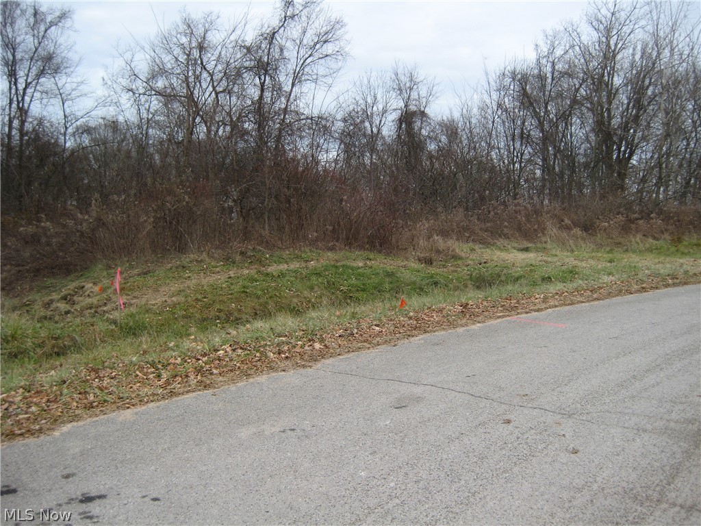 Forest Oaks 02 - Land