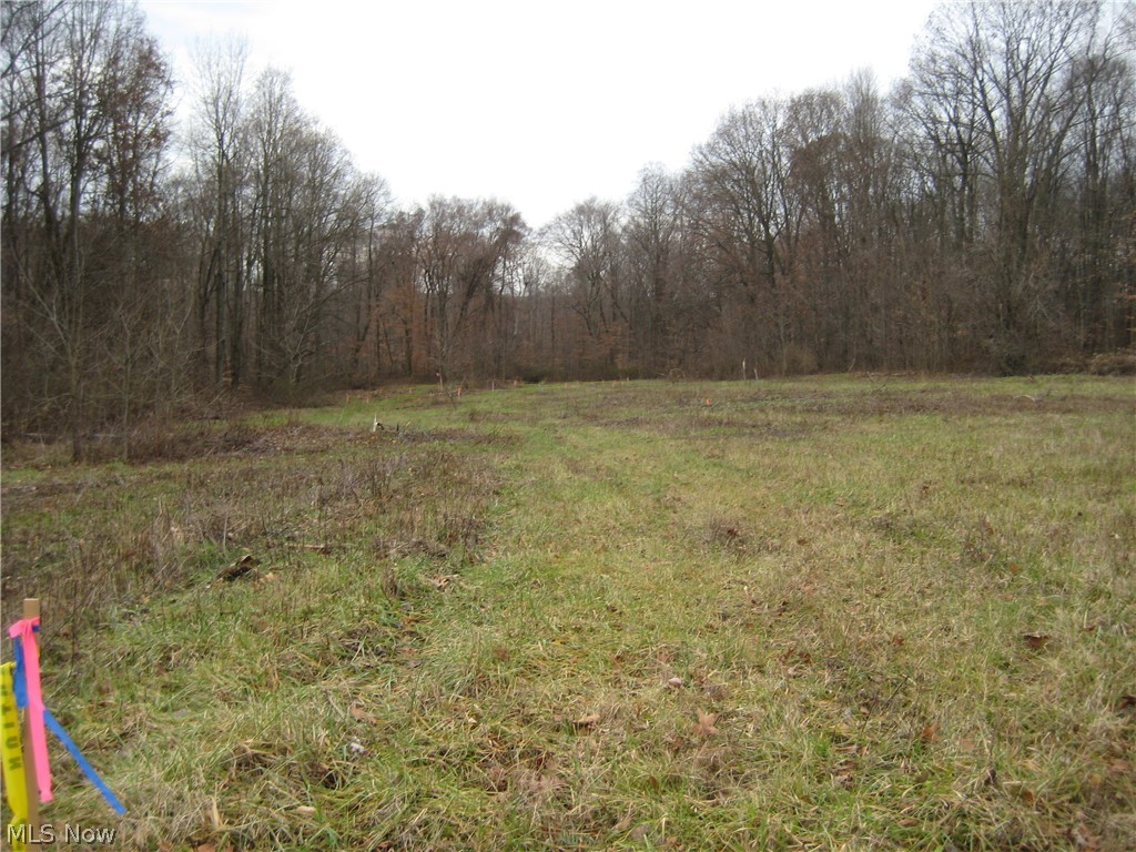 Forest Oaks 02 - Land