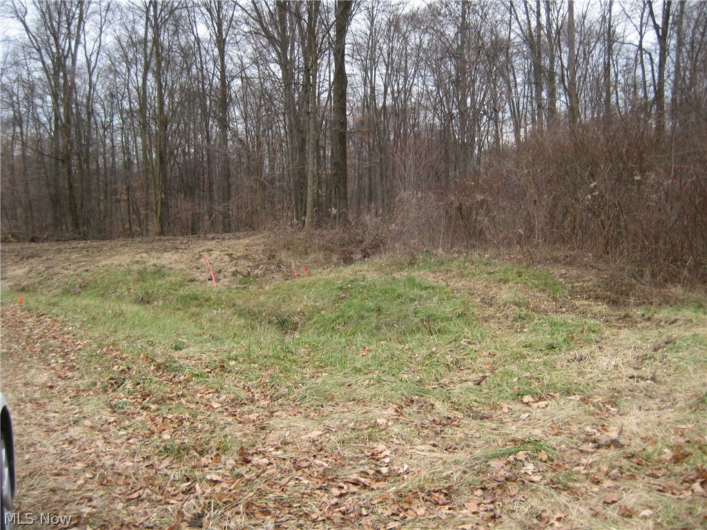 Forest Oaks 02 - Land