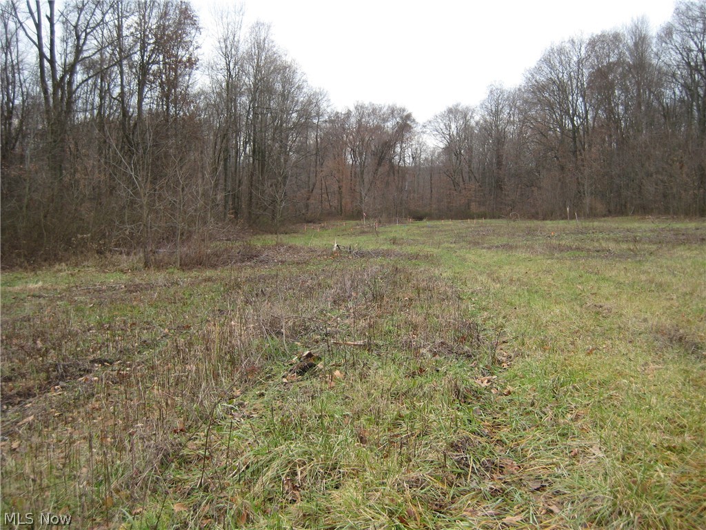 Forest Oaks 02 - Land