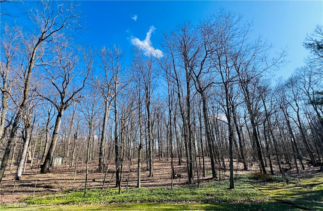 8041 Hi View Drive, North Royalton, Ohio image 25
