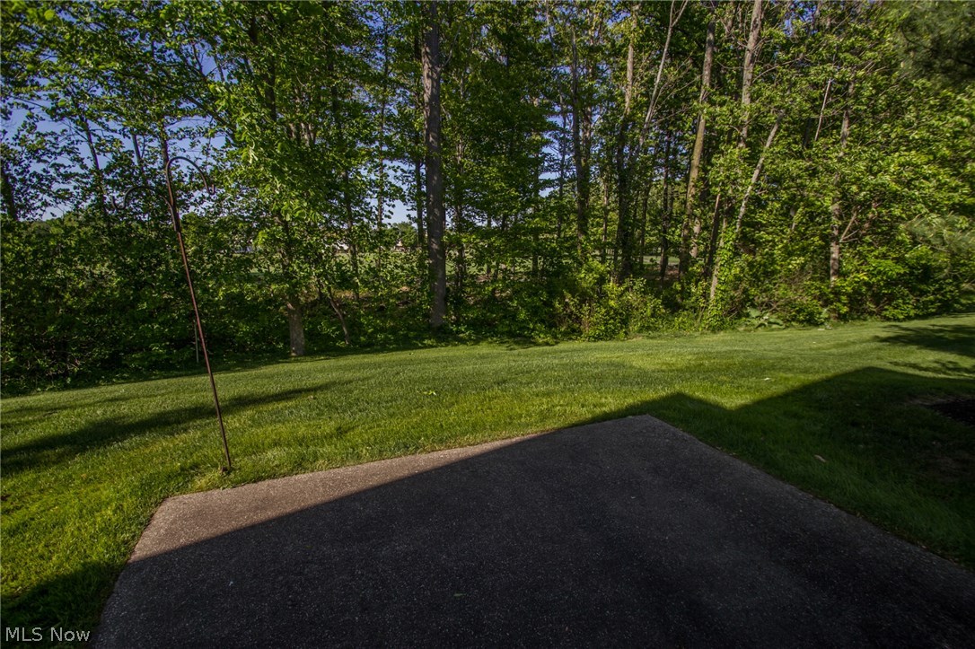 Woods At Ethans Green Cluster - Residential