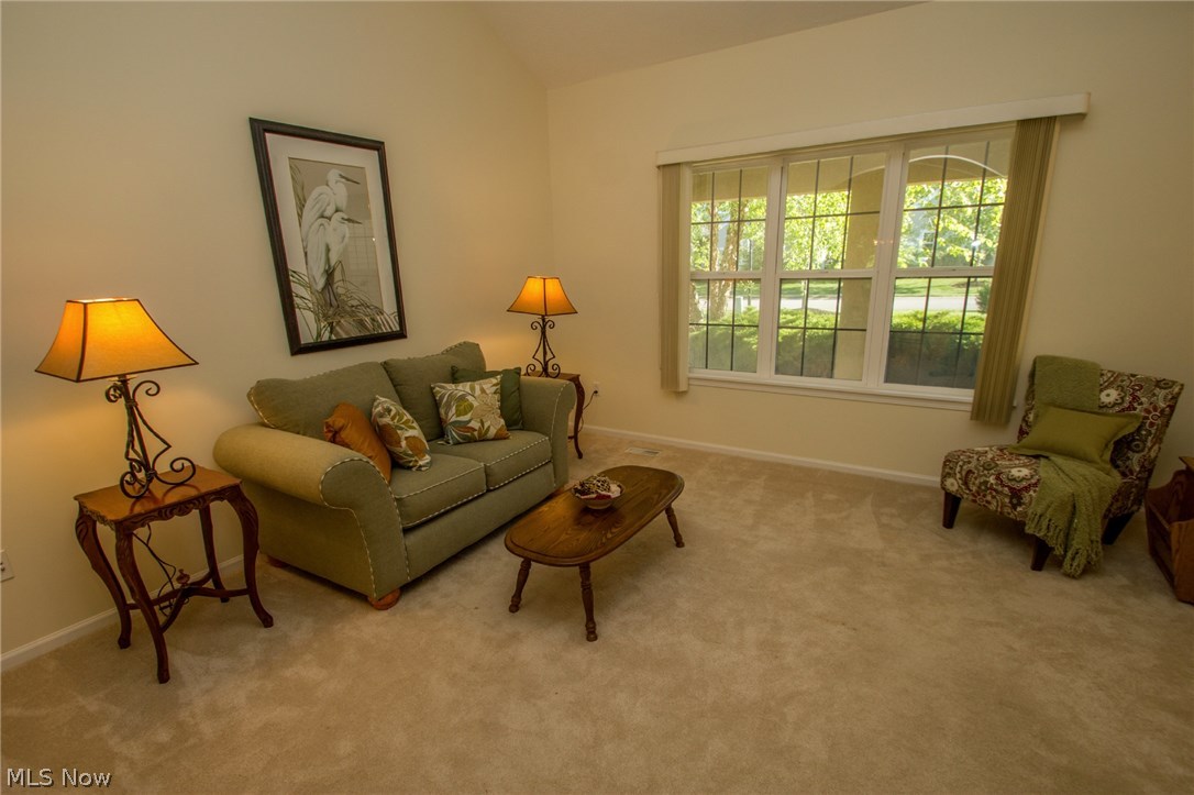 Woods At Ethans Green Cluster - Residential