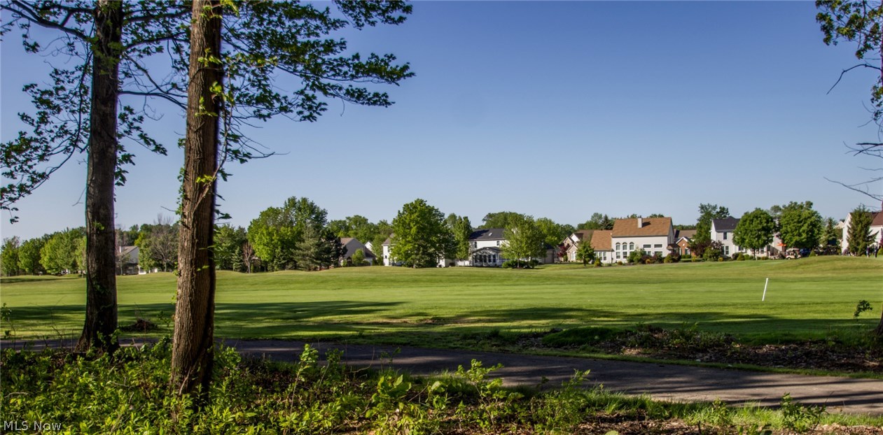 Woods At Ethans Green Cluster - Residential