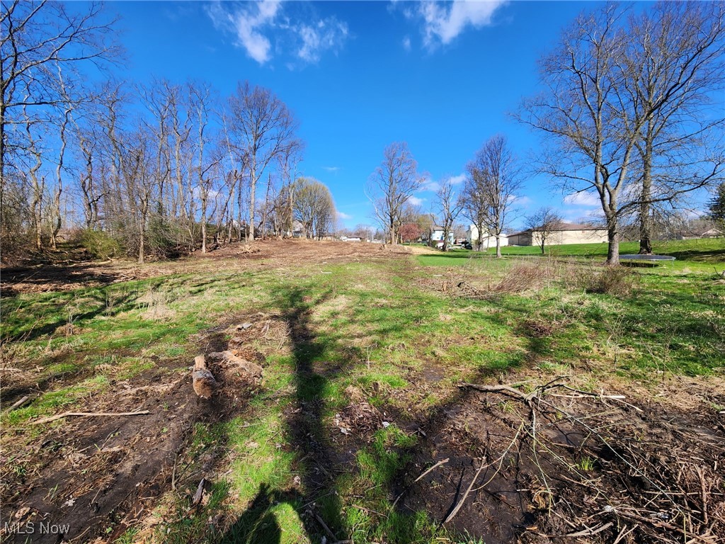 Tallmadge 07 - Land
