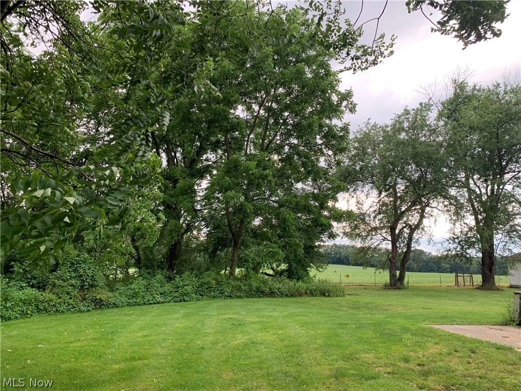 Springfield 05 & 06 - Residential