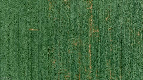 Tiny photo for N Kohler Road, Orrville, OH 44667 (MLS # 5239575)