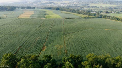 Tiny photo for N Kohler Road, Orrville, OH 44667 (MLS # 5239575)