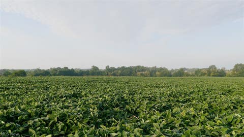 Photo of N Kohler Road, Orrville, OH 44667 (MLS # 5239575)