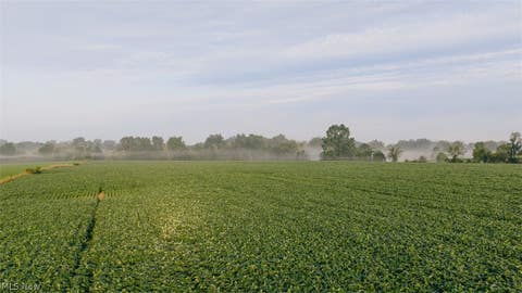 Tiny photo for N Kohler Road, Orrville, OH 44667 (MLS # 5239575)