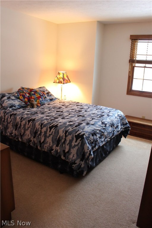 Newton Road Sec 01 - Residential