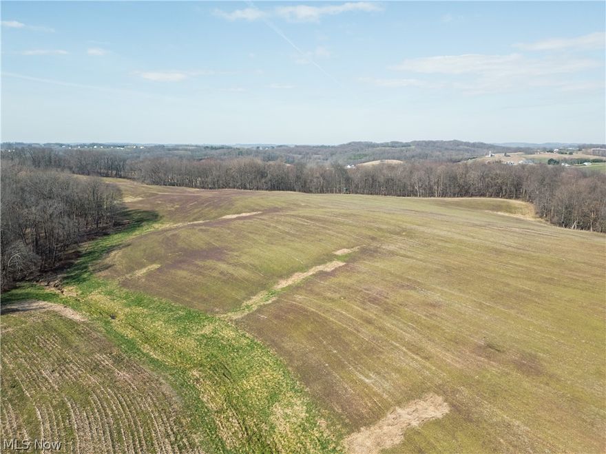 Parcels 1-13. A generational farm nestled around Hothem Ridge, this 215-acre offering is something to pursue. The land features rolling ridgetop building sites, creek bottom & tillable land, and outstanding hunting. Additionally, the farm offers a very solid historic 80’x95’ bank barn with attached milkhouse & plenty of use left and a 44’x84’ barn with attached 50’x150’ free stall barn in good condition. This farm offers many different opportunities with over 150 acres contiguous stretching between two different roads. Don’t miss the chance to buy excellent land and buildings in a growing area perfect for building, farming, hunting, and investing! Call agents prior to walking this land or attend the preview and make plans to join us for the auction.